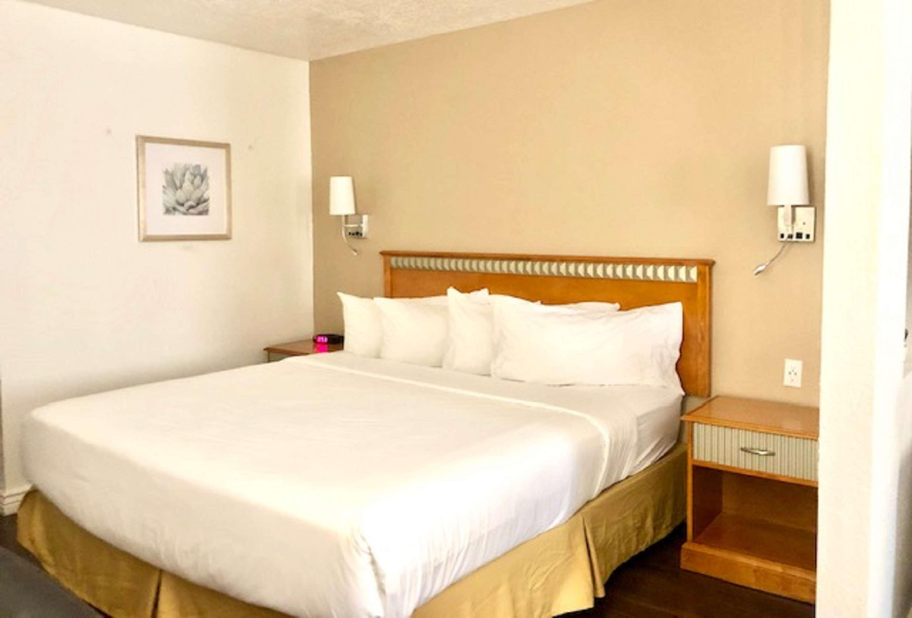 Surestay Plus Hotel By Best Western Albuquerque I-40 Eubank Eksteriør billede